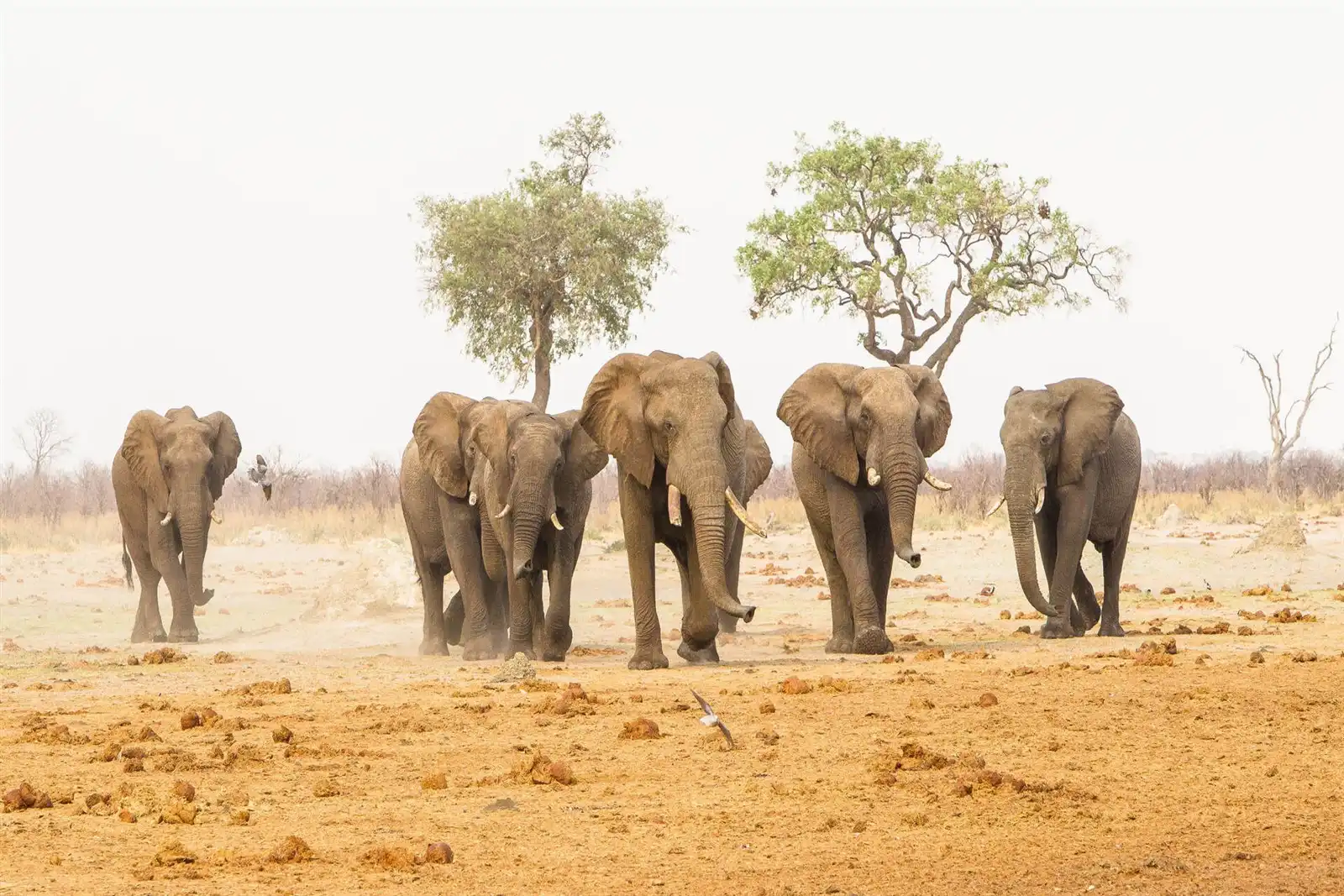 Arusha National Park: A Guide to Tanzania's Hidden Gem | Safari Stride : Foto 03