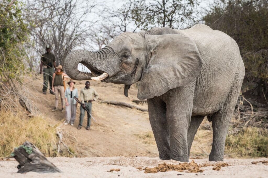 15 Things You Need to Know Before Traveling to Tanzania