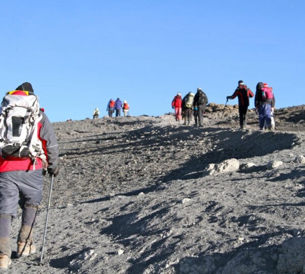 kilimanjaro