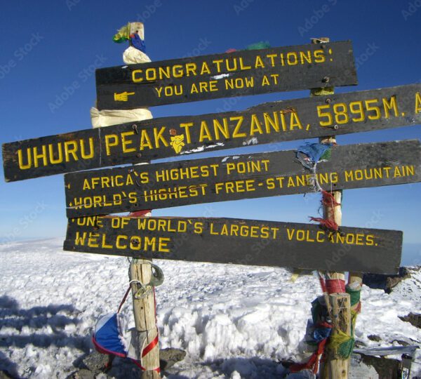 kilimanjaro