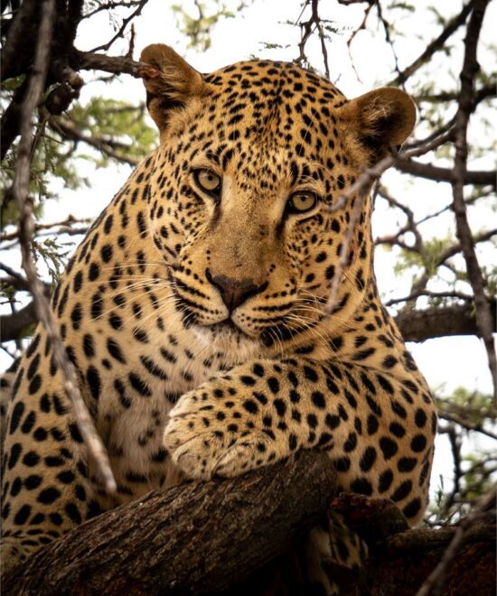 10-Day Tanzania Safari & Zanzibar Escape