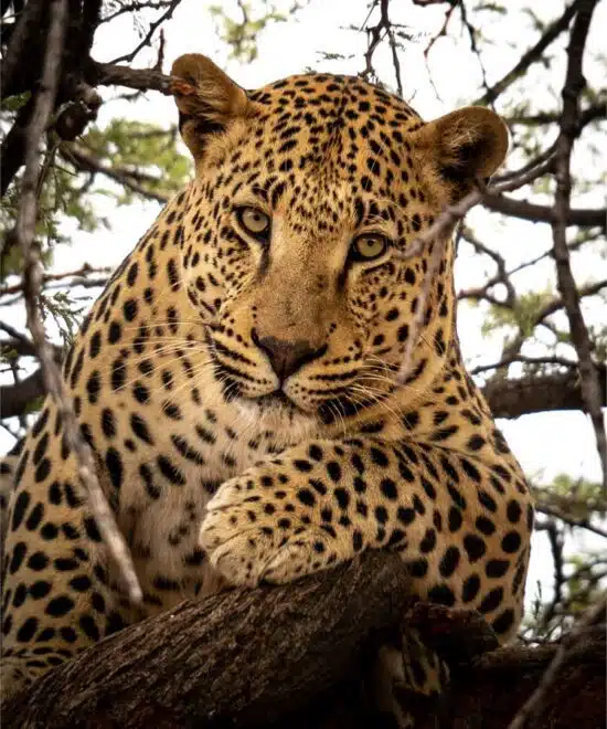 10-Day Tanzania Safari & Zanzibar Escape