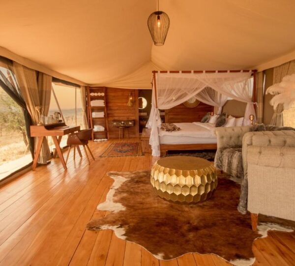 serengeti