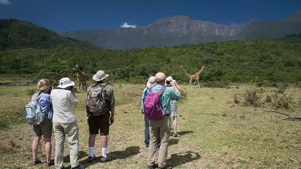 ngorongoro