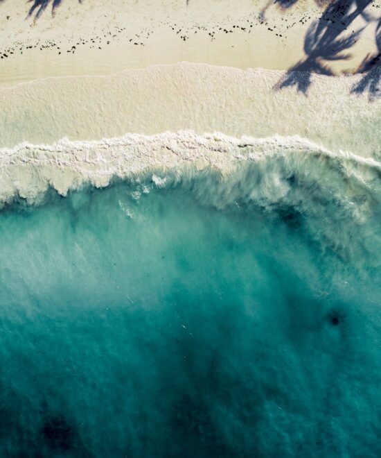 8-Day Tanzania Safari & Zanzibar Escape