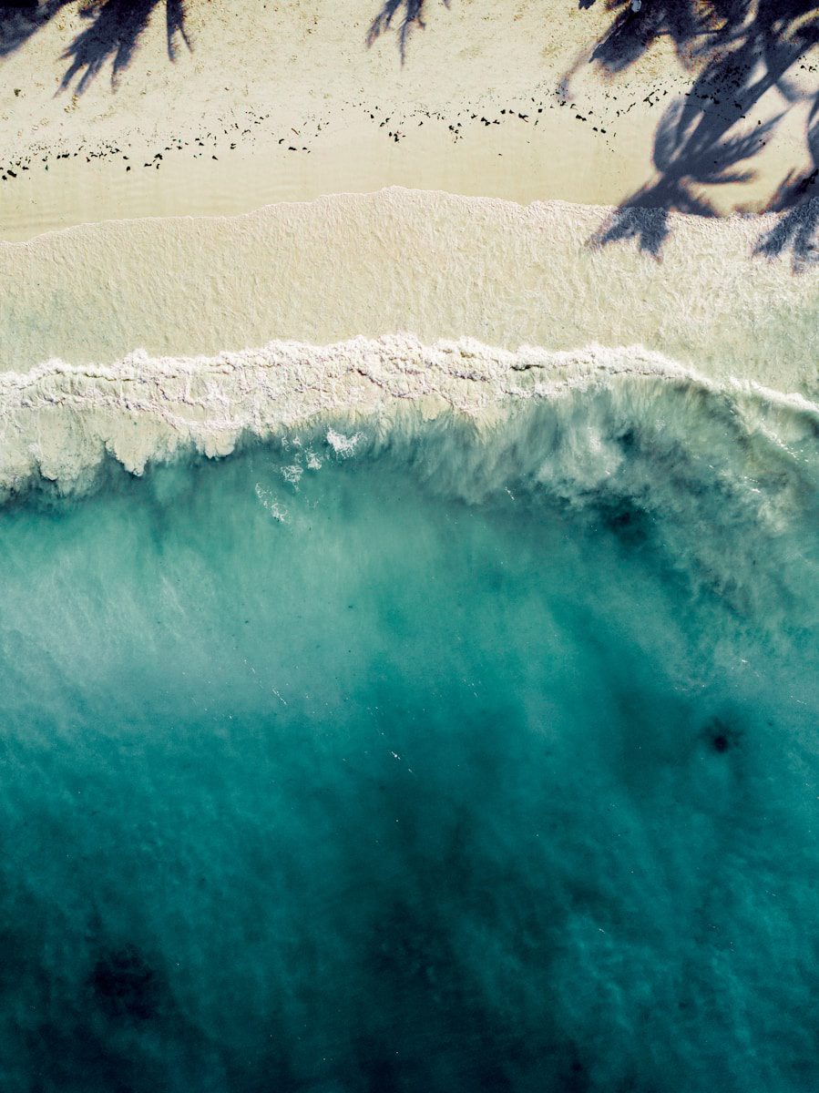 8-Day Tanzania Safari & Zanzibar Escape