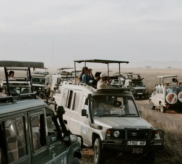 white and blue jeep wrangler on brown field during daytime