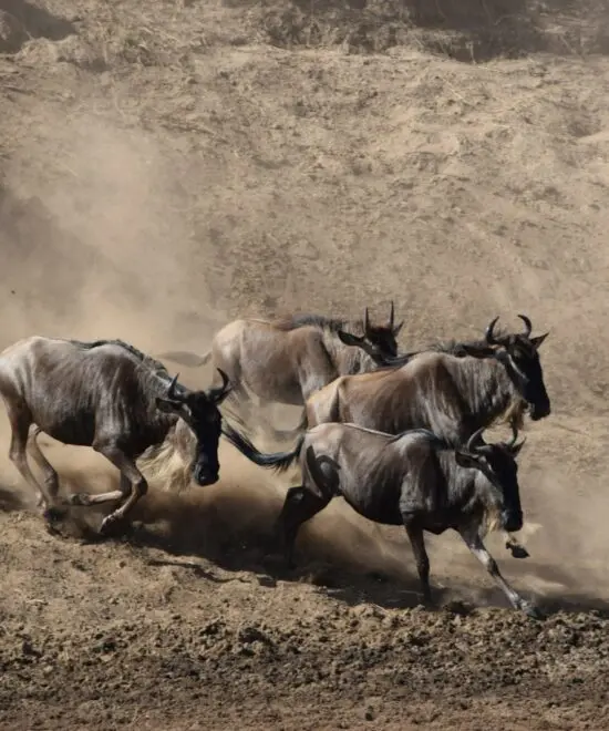 Serengeti National Park