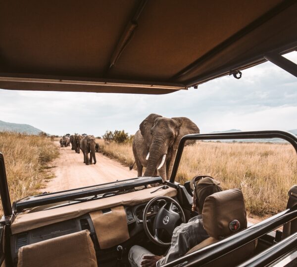 tanzania
