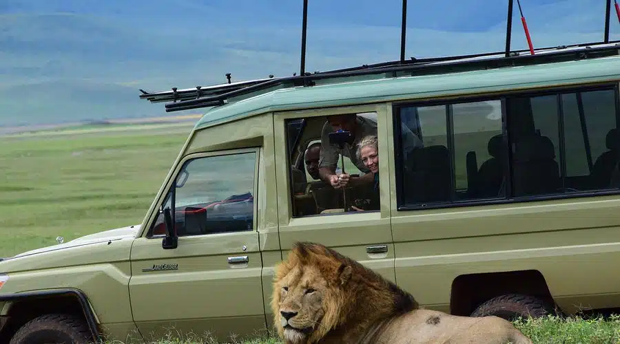 ngorongoro