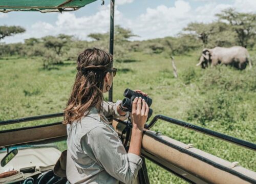 Visit Tanzania in June: Best Time & Travel Tips