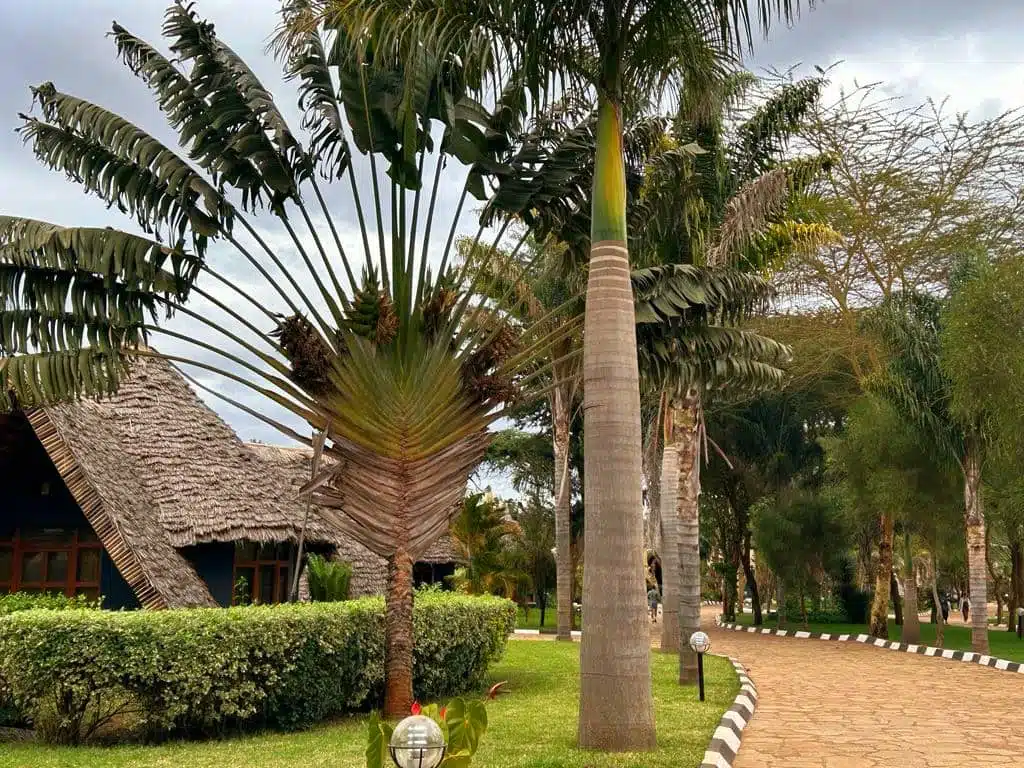farm of dreams lodge