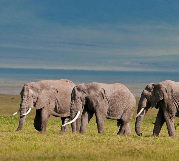 Travel Tanzania in October