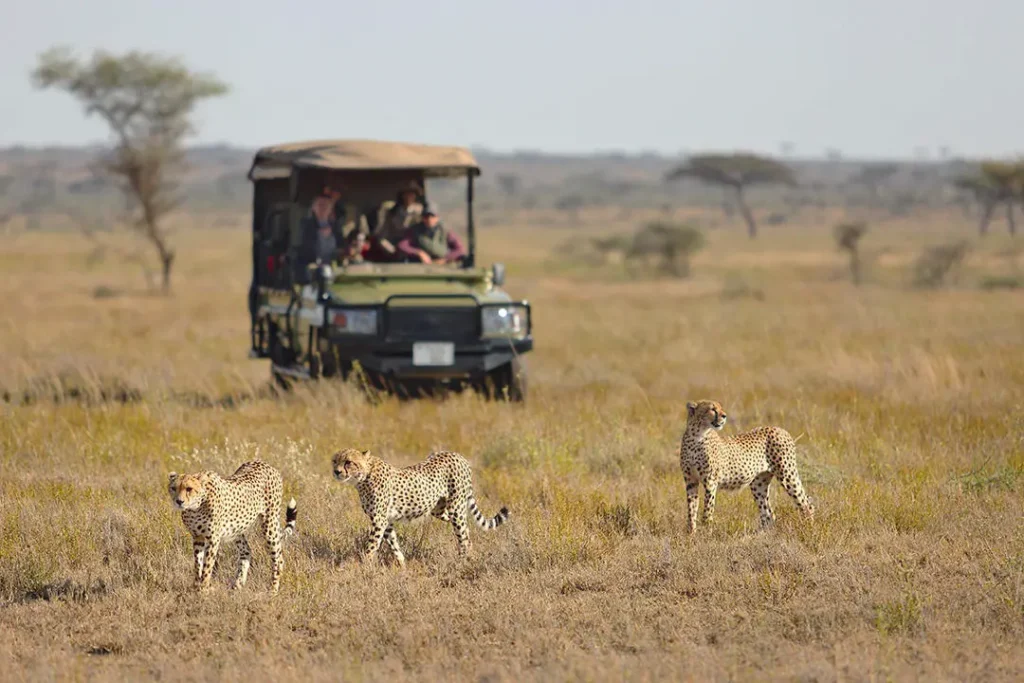 ngorongoro crater