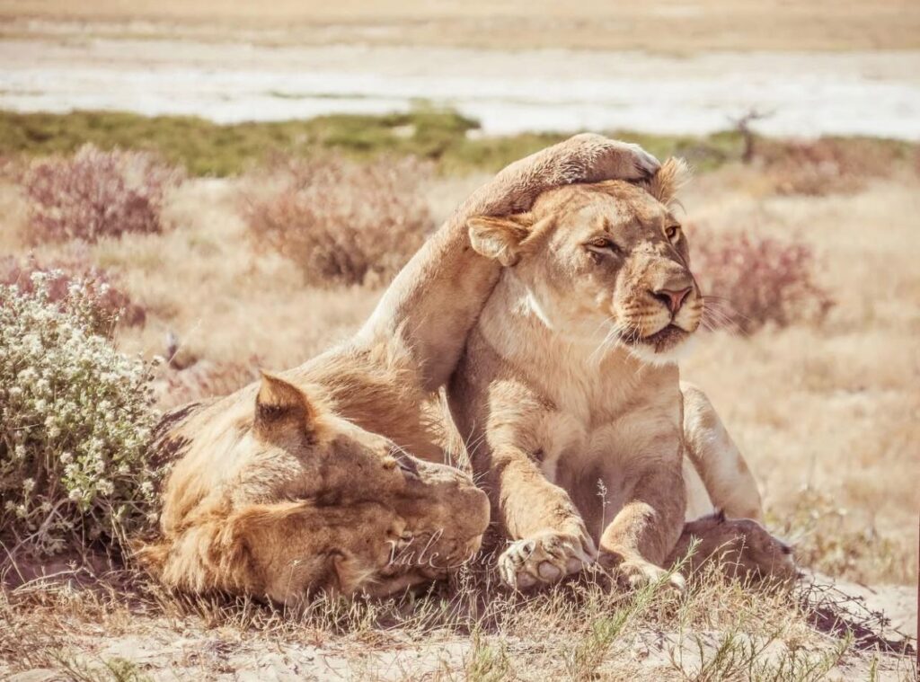 ngorongoro crater