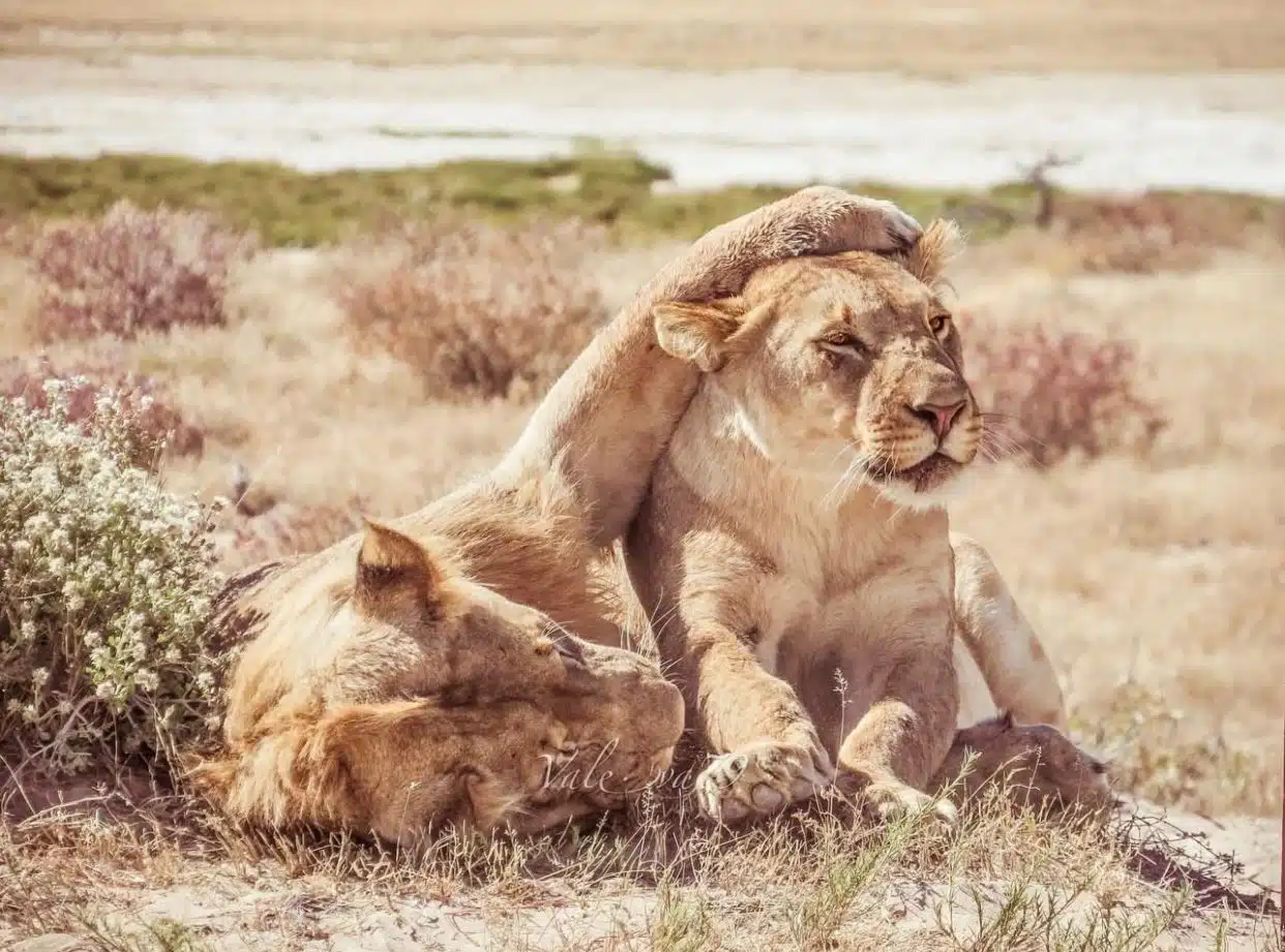 ngorongoro crater