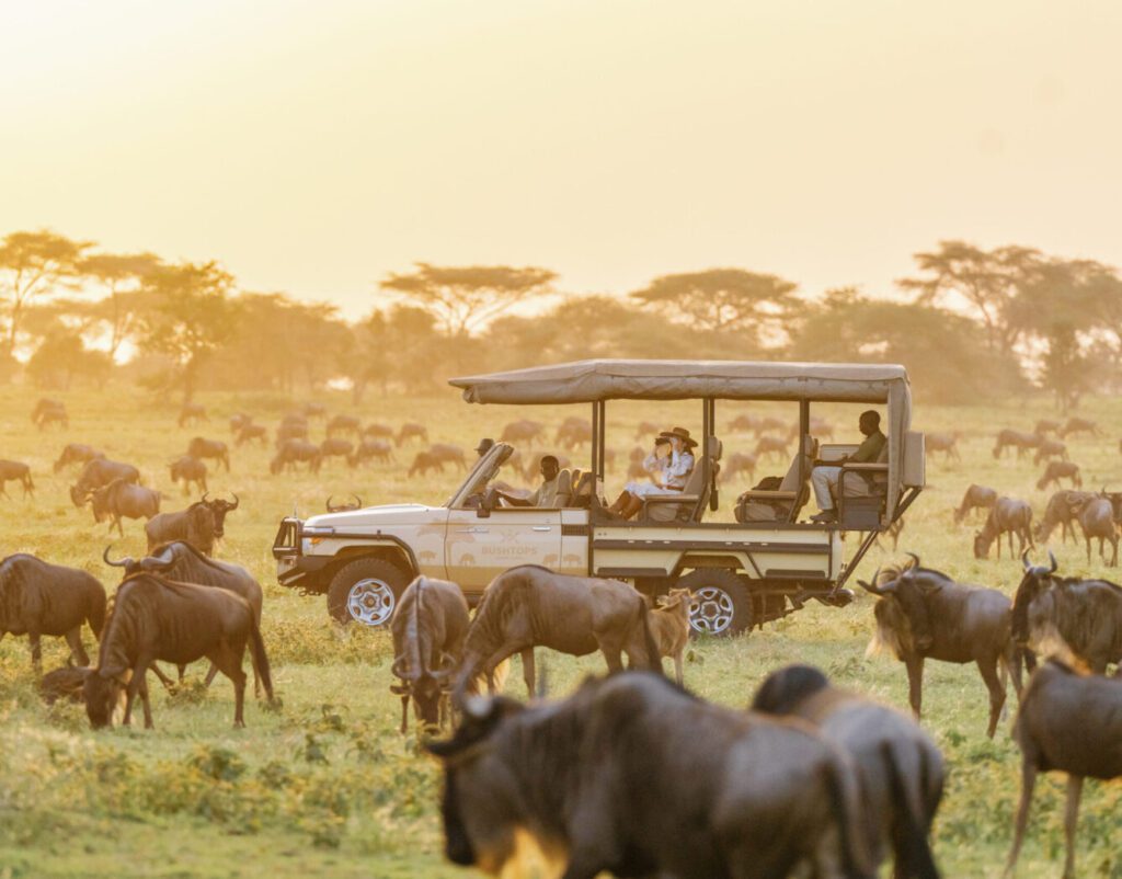 Travel Tanzania in October