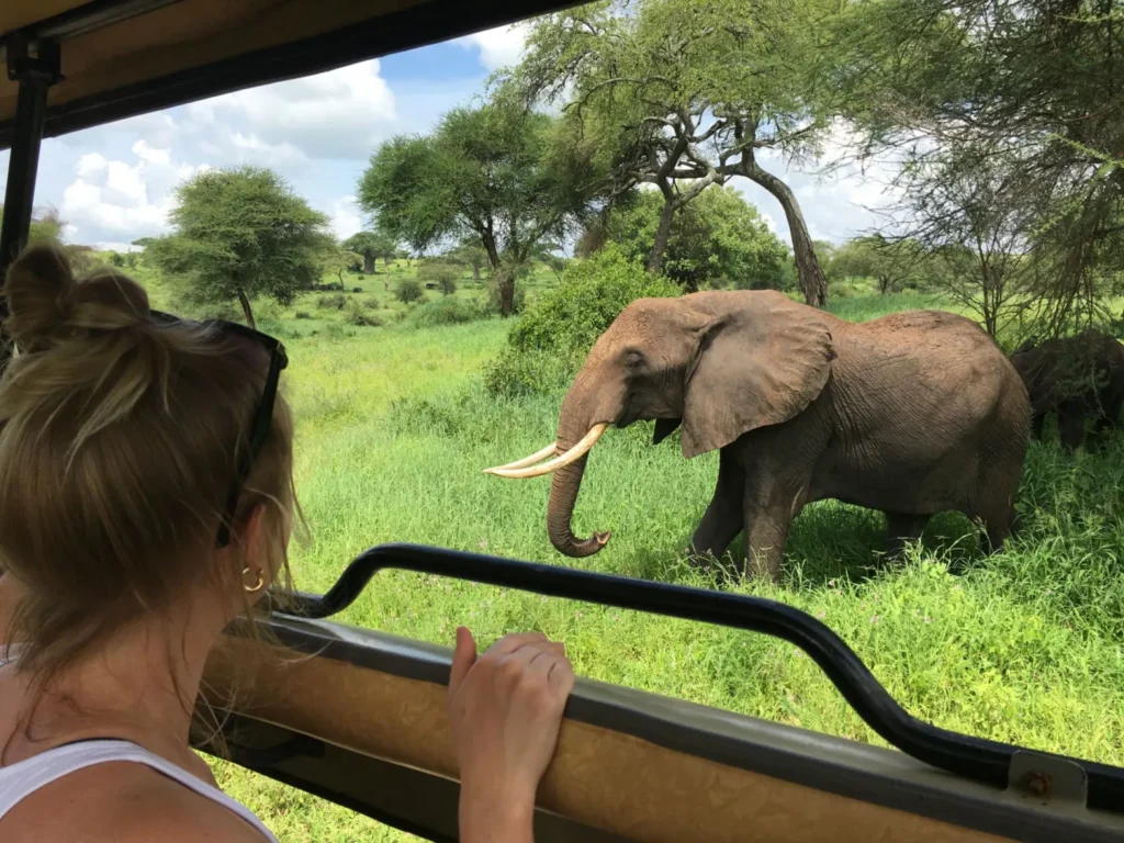 ngorongoro crater