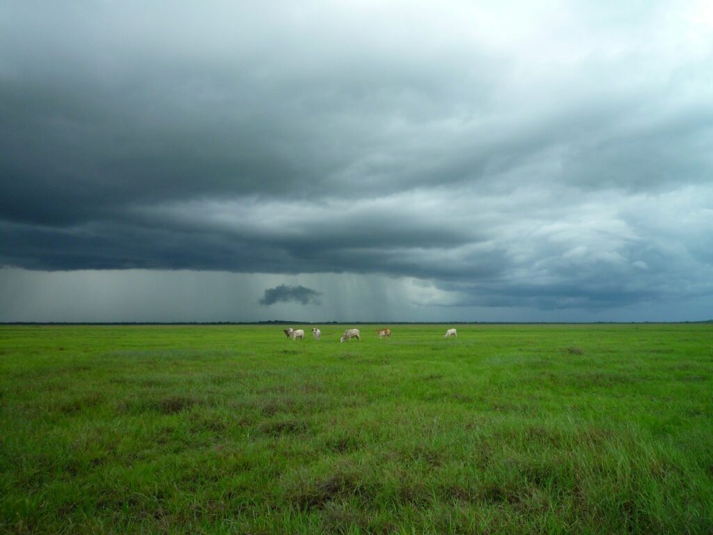 Best Time to Visit Tanzania
