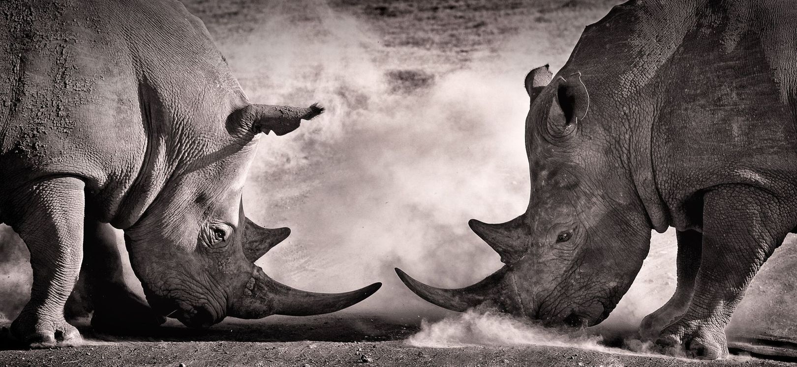 Ngorongoro Conservation Area