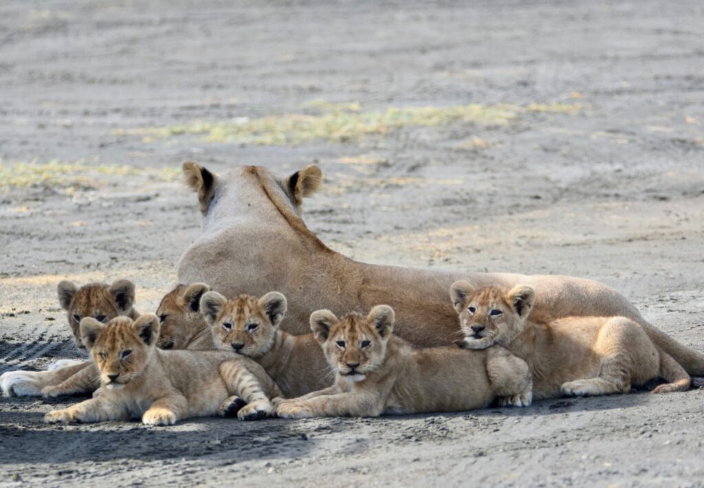 LGBTQ Travelers in Tanzania