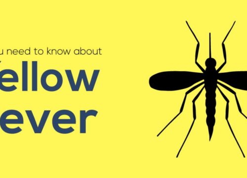 Yellow Fever Vaccination Tanzania: Complete Safari Traveler’s Guide 2025