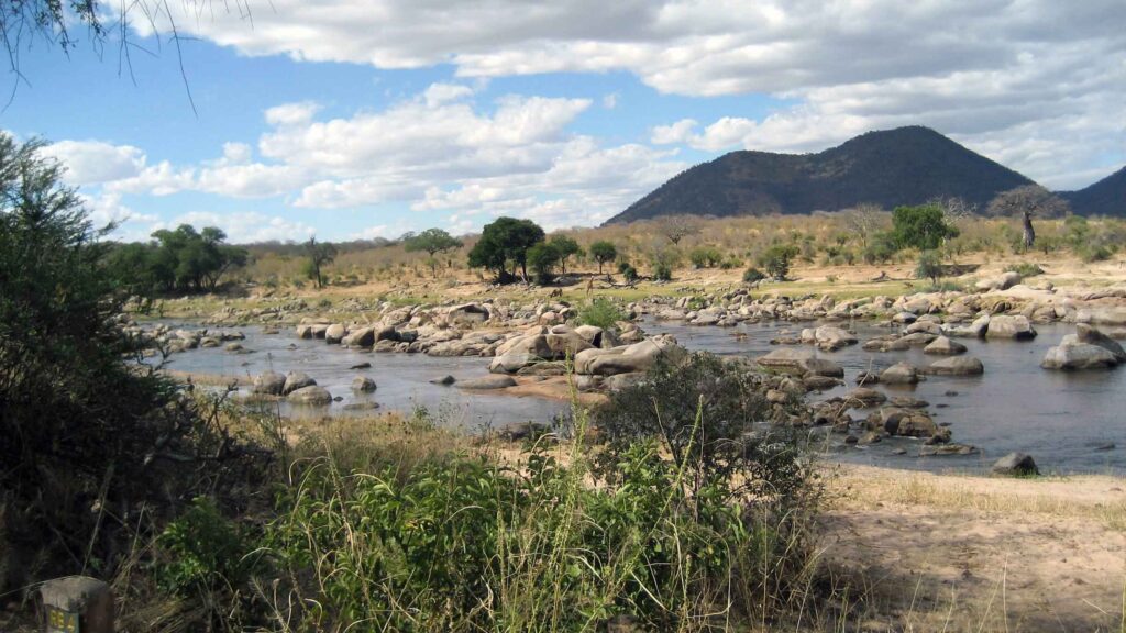 ruaha national park