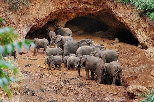 Elephant Cave in karatu
