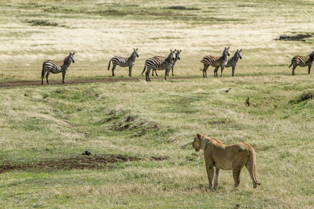 LGBTQ Travelers in Tanzania