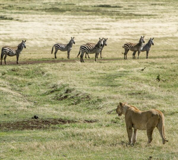 LGBTQ Travelers in Tanzania