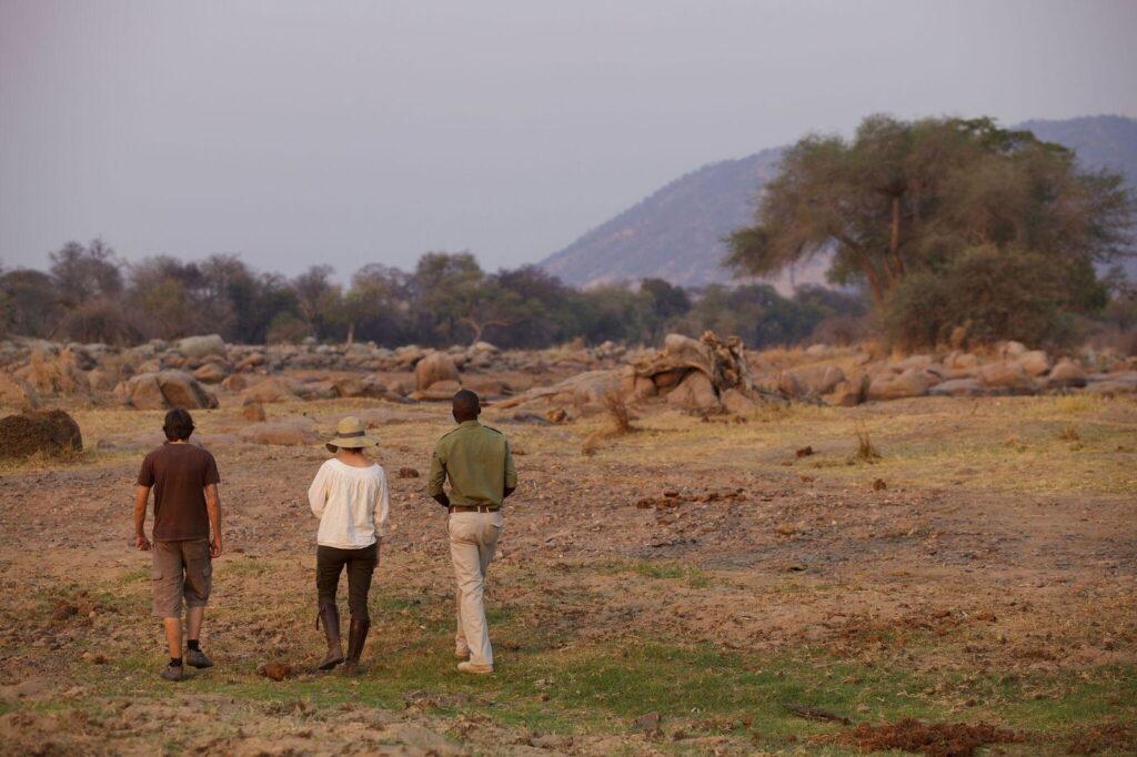 ruaha national park