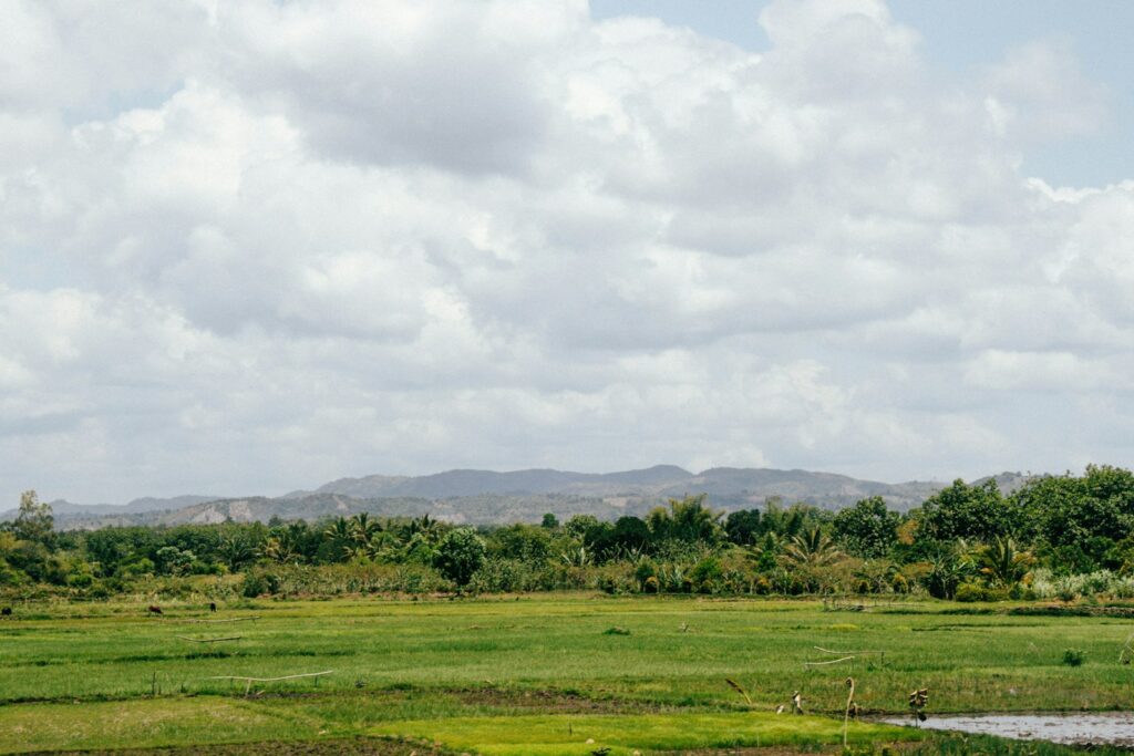 Best Time to Visit Tanzania