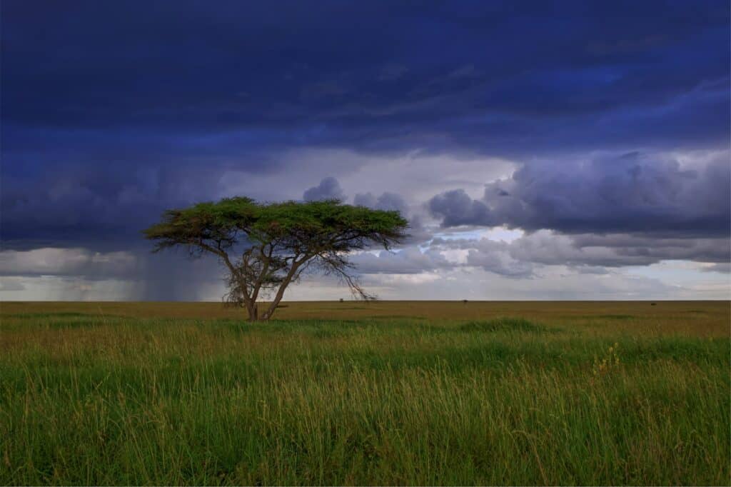 weather in tanzania