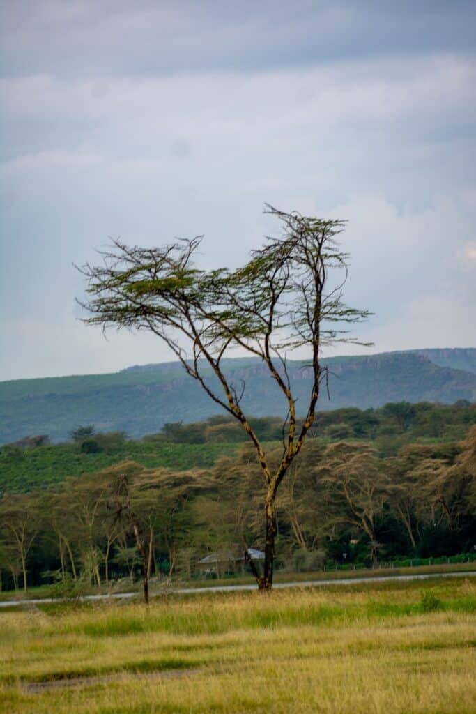 weather in tanzania