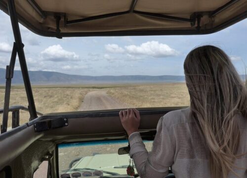 Travel from Poland to Tanzania – The Ultimate Safari Guide