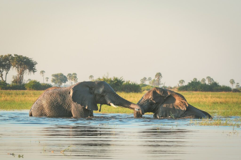 tanzania in december