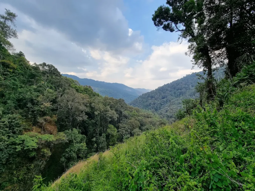 Kitulo National Park