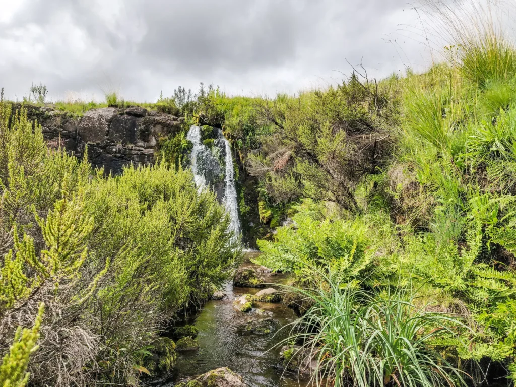 Kitulo National Park