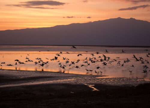 Lake Eyasi vs. Lake Manyara: Which Tanzanian Hidden Gem Should You Visit?