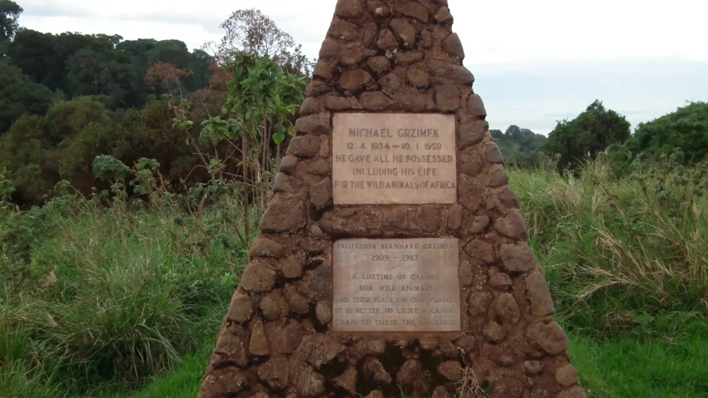 history of serengeti