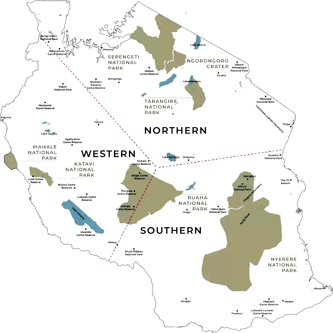 tanzania safari