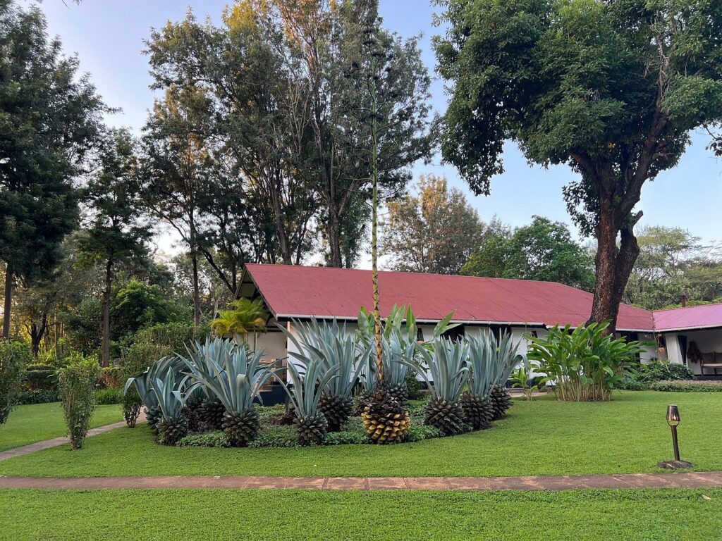 luxury lodge in karatu