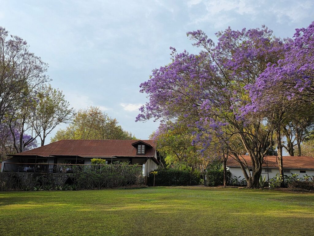 luxury lodge in karatu