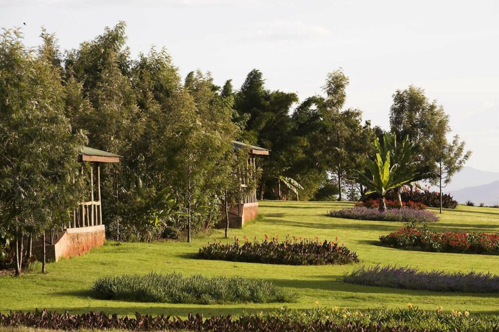 luxury lodge in karatu