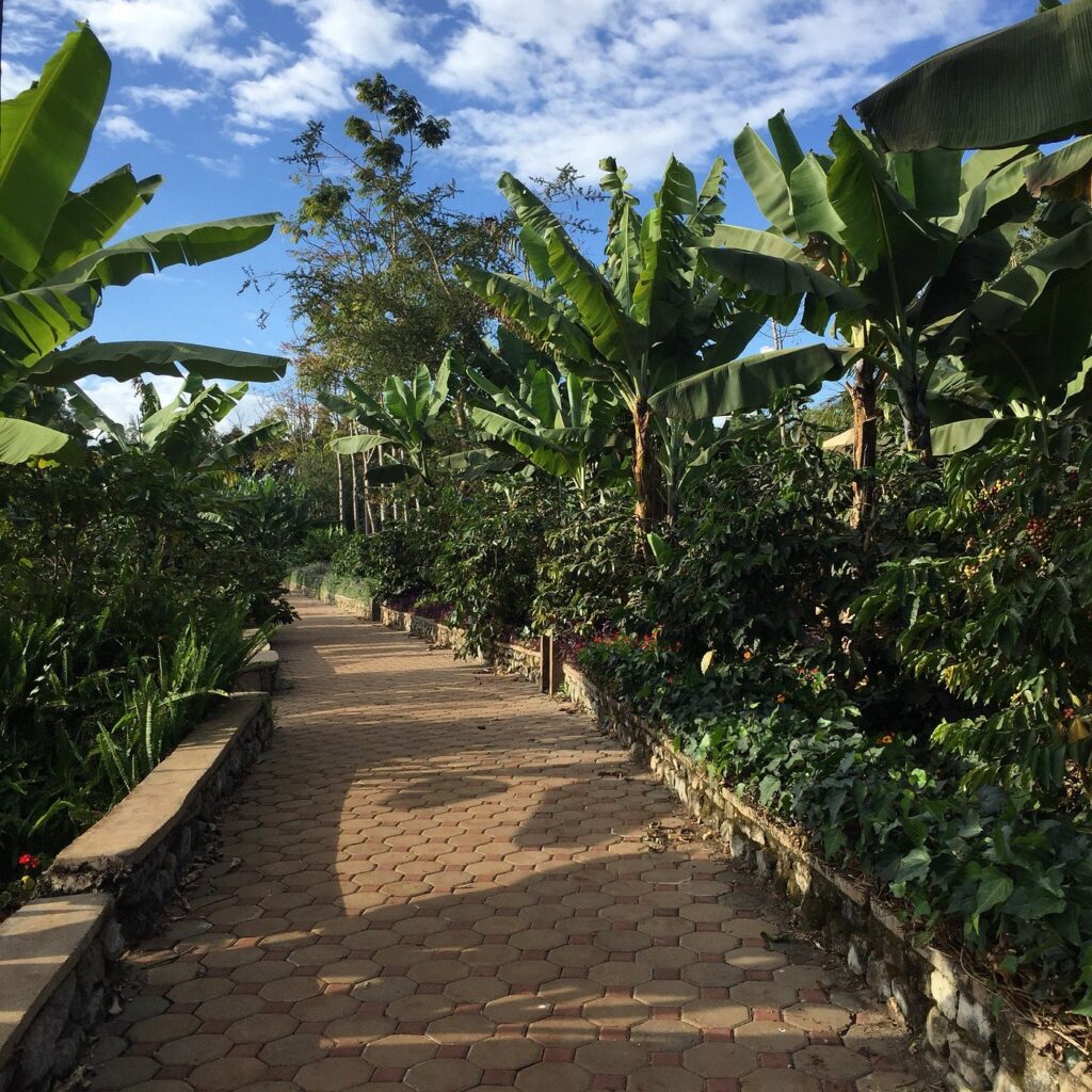 luxury lodge in karatu