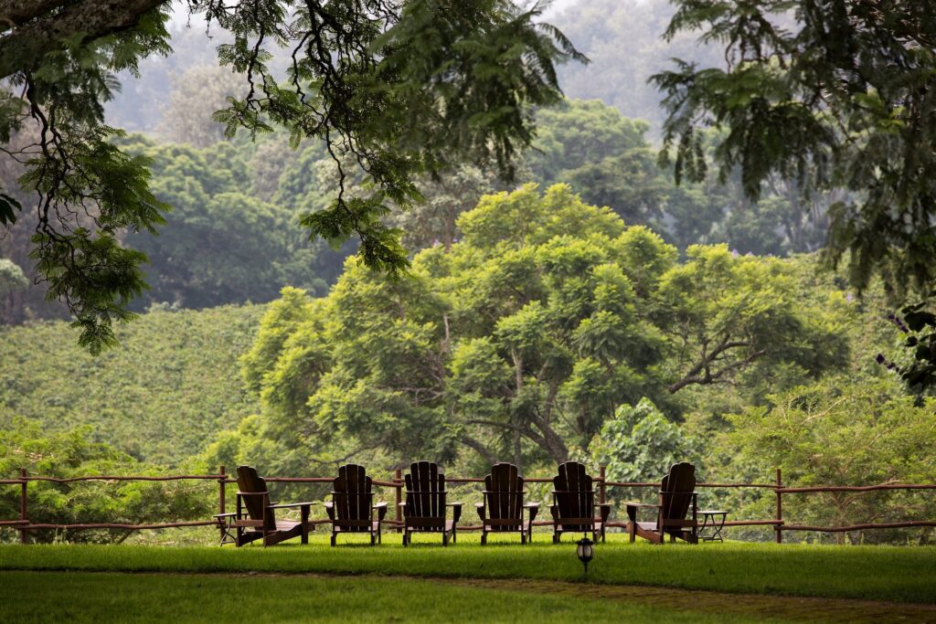 luxury lodge in karatu