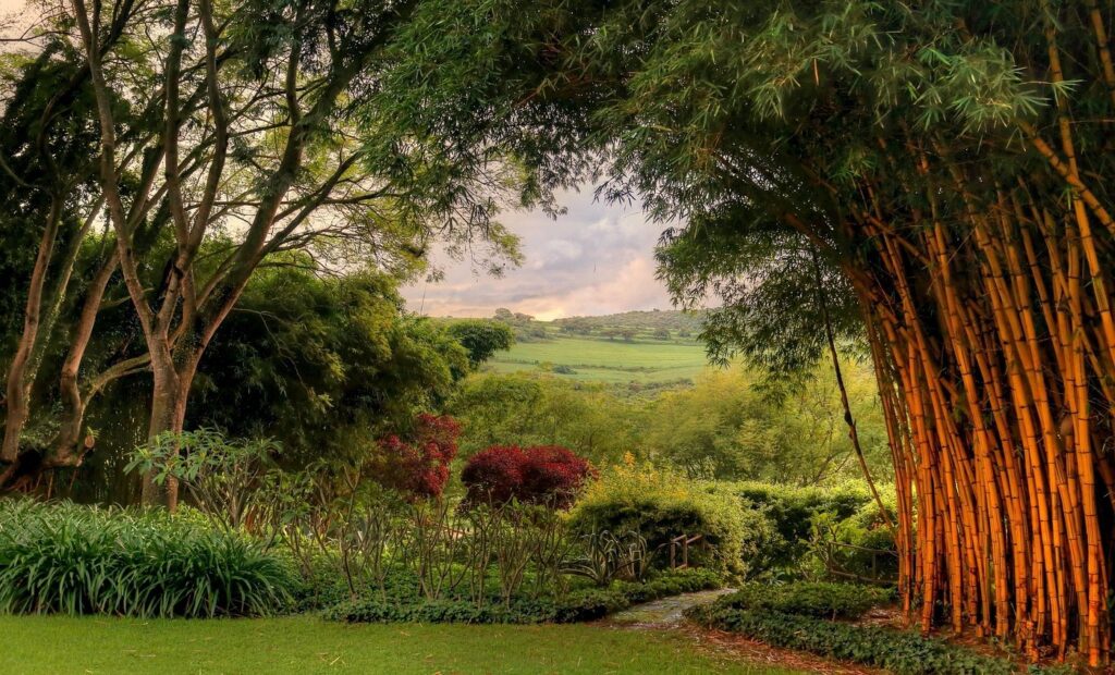 luxury lodge in karatu