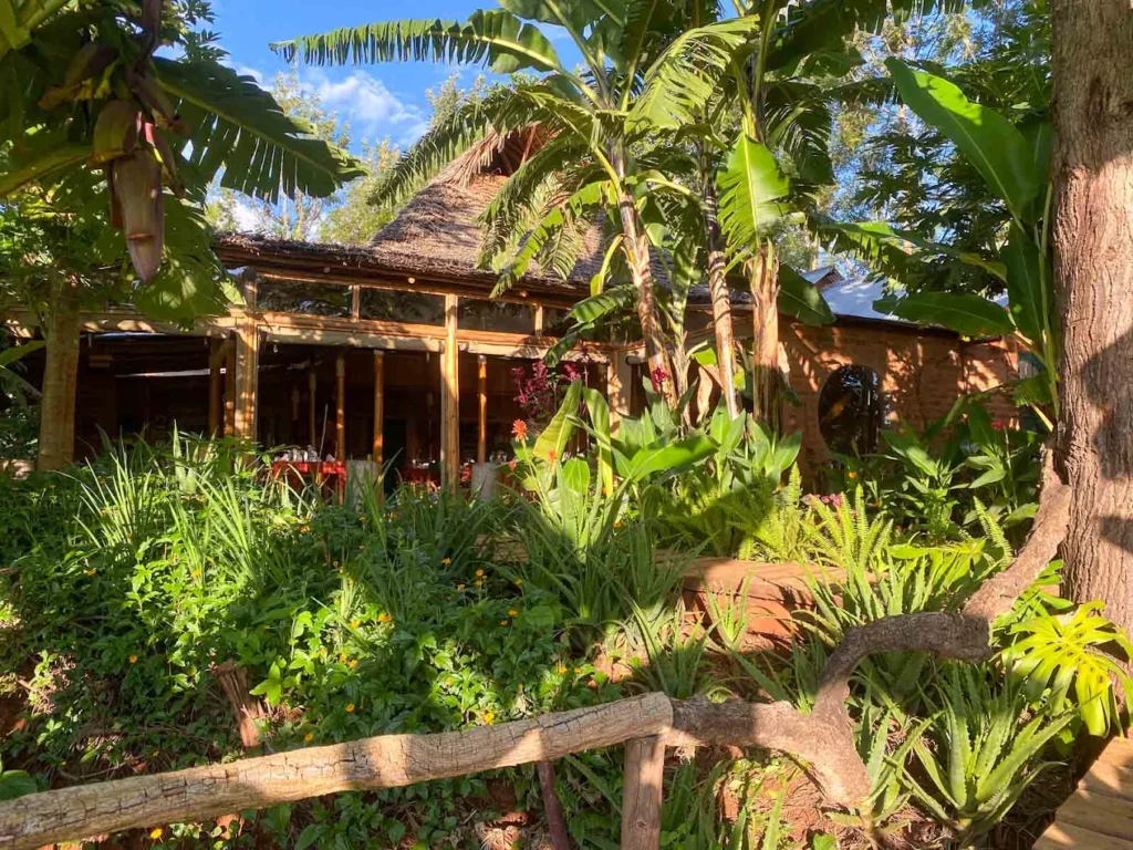 foresight eco lodge - safari stride