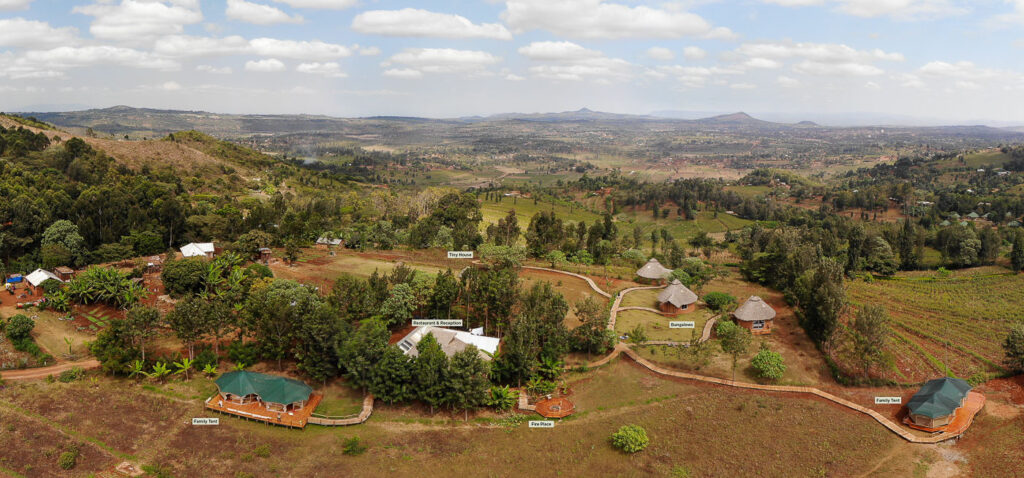 foresight eco lodge - safari stride