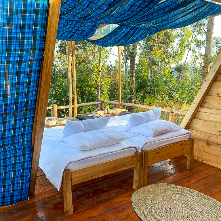 foresight eco lodge
